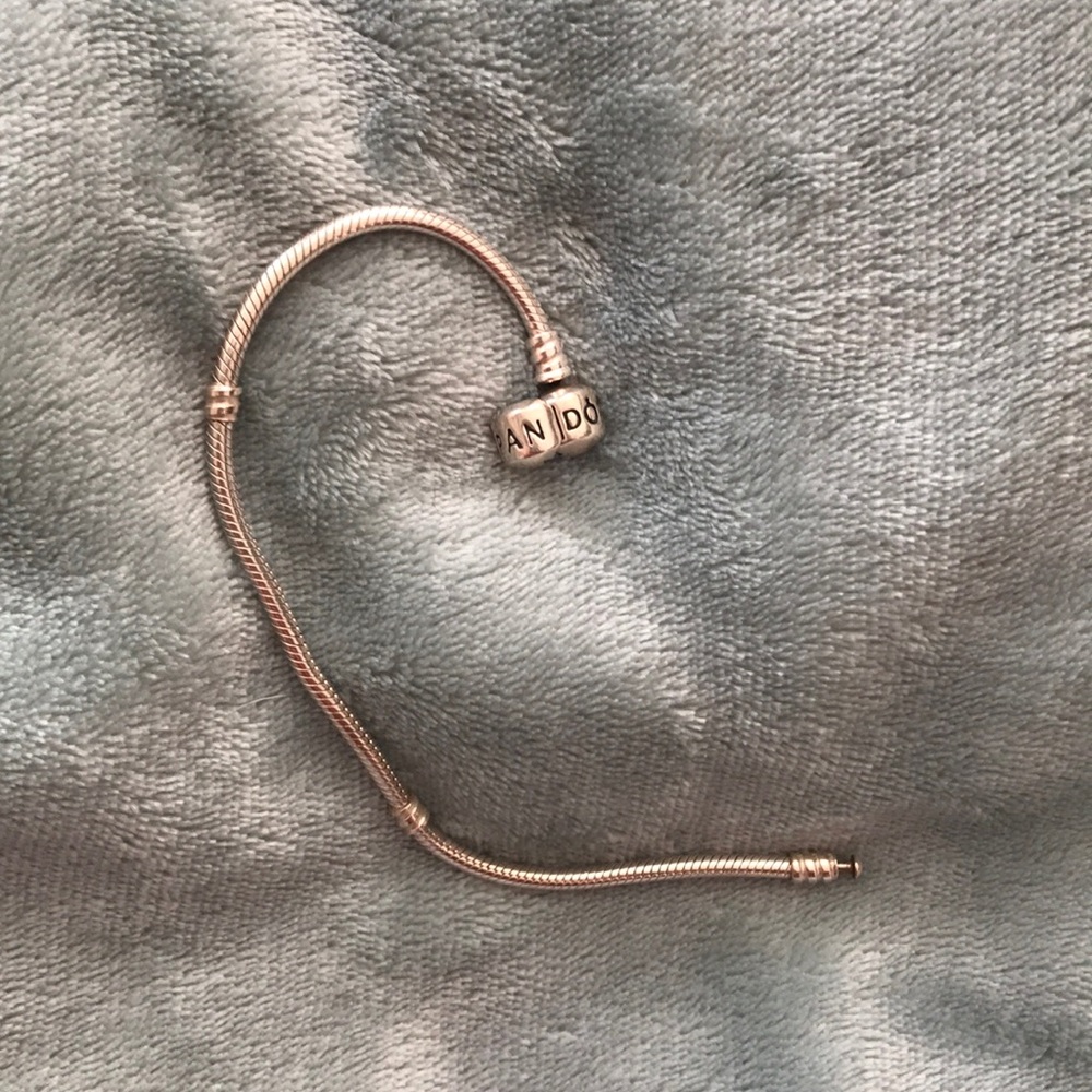 Pandora Memory Snake Bracelet - Picture 2 of 4